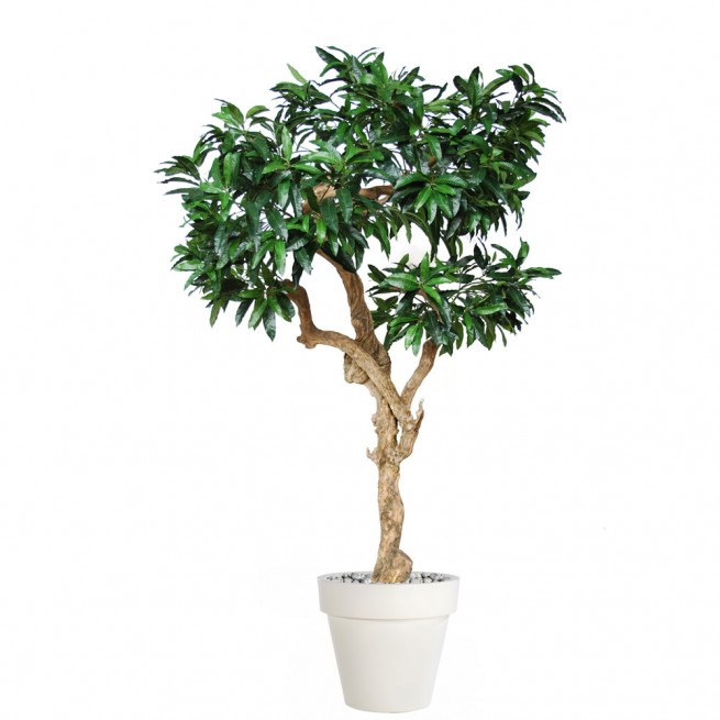 Planta semi-artificiala Ila, Mango Nidra Green - 250 cm